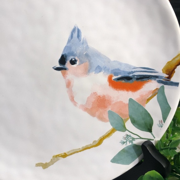 Wild Bird Plates Cardinal Bluebird Designs NWT Set of 2 by Giftcraft Collection - Picture 6 of 13